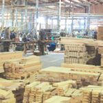 Wood exports enterprises deal with inflation, carefully look for orders