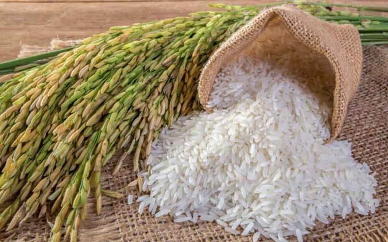Vietnam's exported rice illustration