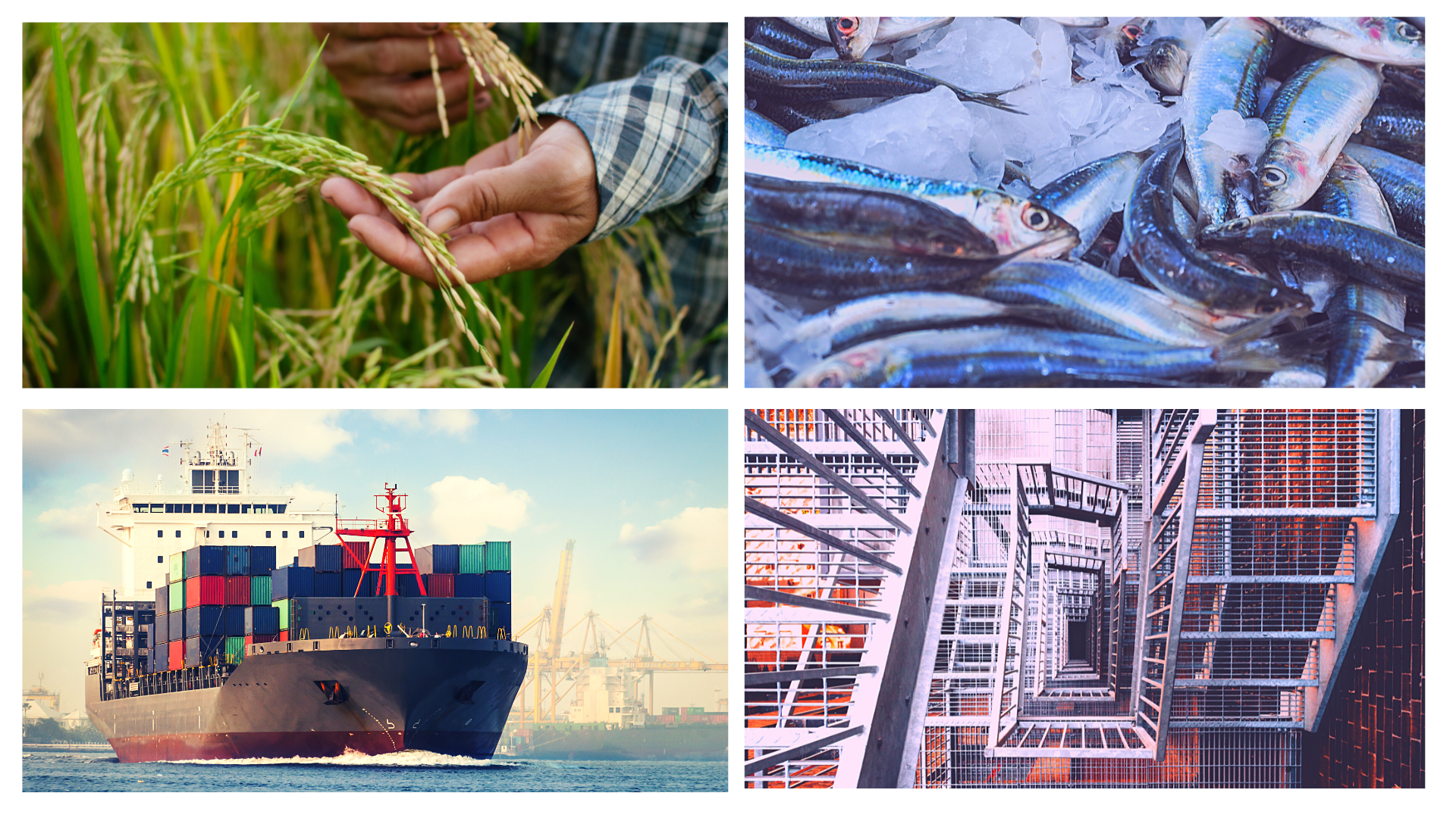 Diễn biến tình hình nền kinh tế Việt Nam Q4/2022 - triển vọng & thách thức trong năm 2023