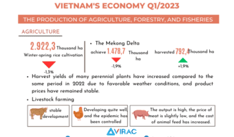 The economic situation in Vietnam