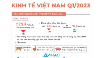 Infographic tình hình kinh tế quý 1 năm 2023