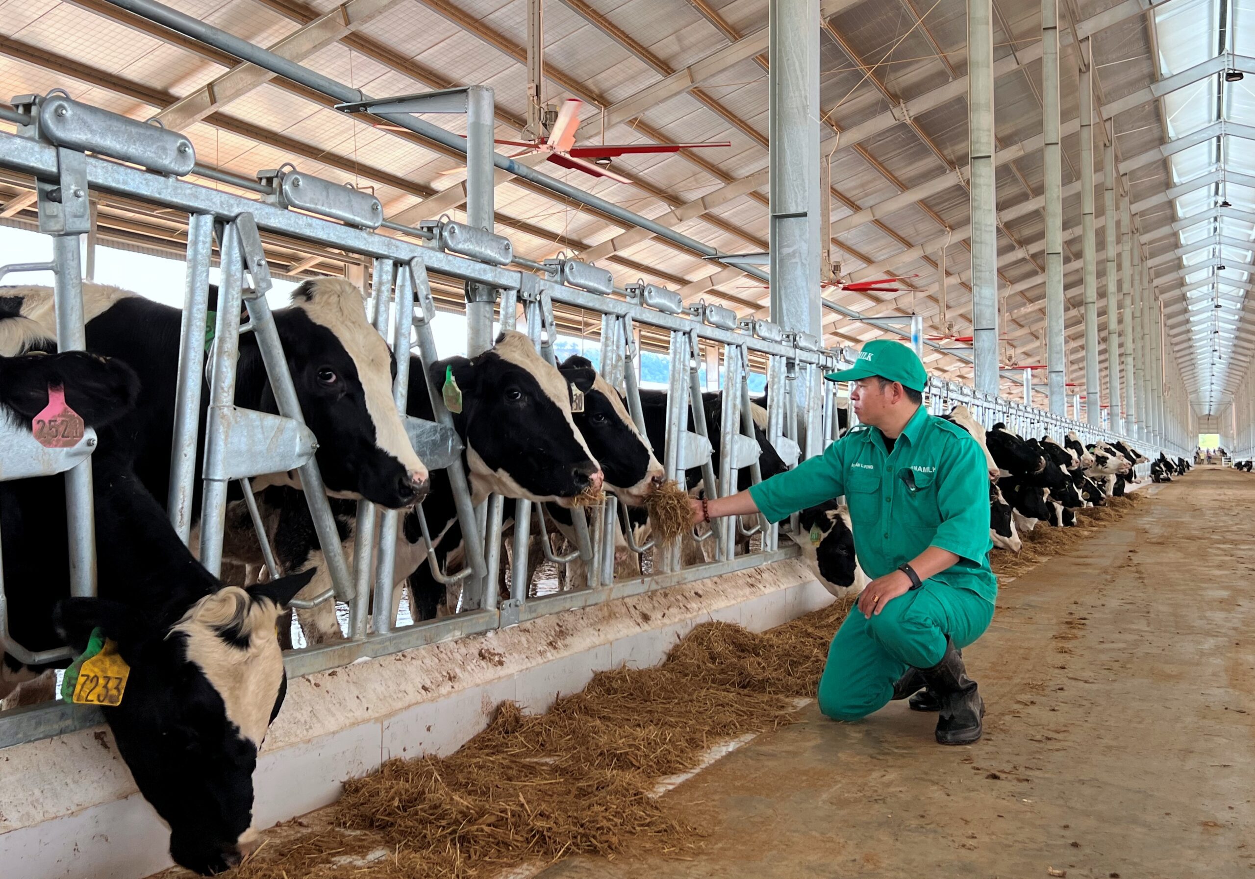 Image 7: Animal feed prices are forecasted to increase in the near future