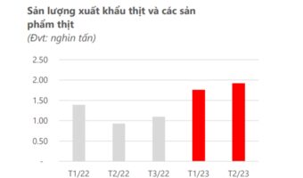 Hình 2: Sản lượng xuất khẩu thịt và các sản phẩm thịt