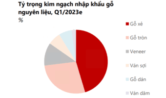 Tổng quan ngành gỗ những tháng đầu năm 2023. Dự báo ngành gỗ Việt Nam và các biện pháp hỗ trợ ngành gỗ.
