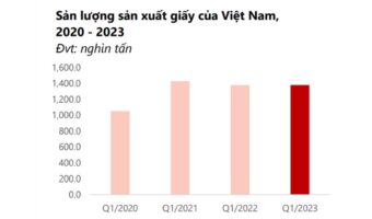 Ngành giấy và bột giấy: tổng quan và xu hướng đầu năm 2023