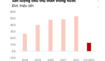 Tổng quan và triển vọng ngành than
