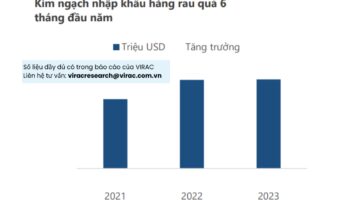 Ngành rau củ chế biến của Việt Nam 6 tháng đầu năm 2023: tăng trưởng vượt bậc về xuất khẩu.