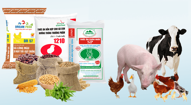 Image 11: Highly dependent on imported sources, the domestic animal feed market easily falls into a passive position
