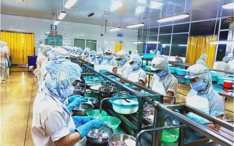 bao-cao-nganh-che-bien-thuc-pham-co-su-chuyen-bien-tich-cuc Theo báo cáo ngành chế biến thực phẩm đang dần có sự chuyển biến tích cực
