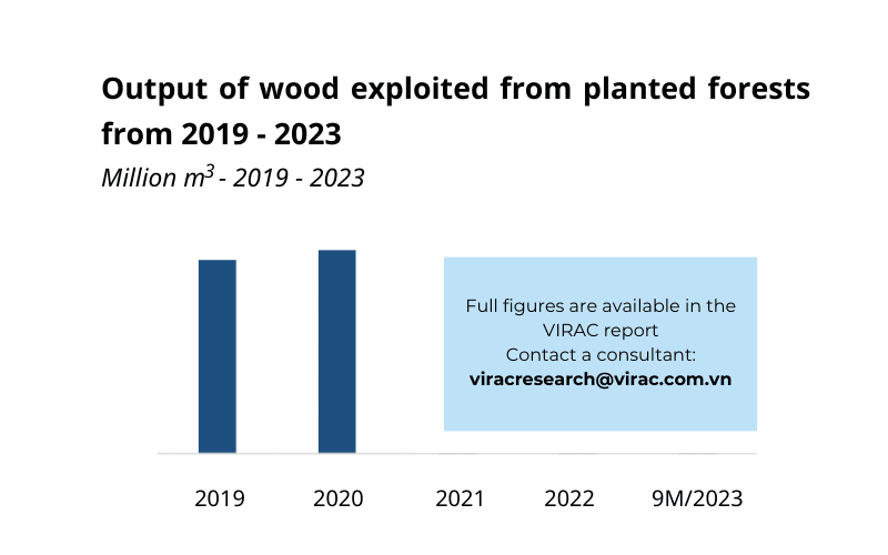 Vietnam's timber industry report 2023