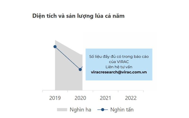 Diện tích và sản lượng lúa theo năm