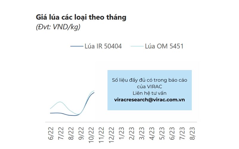 Giá lúa các loại theo tháng