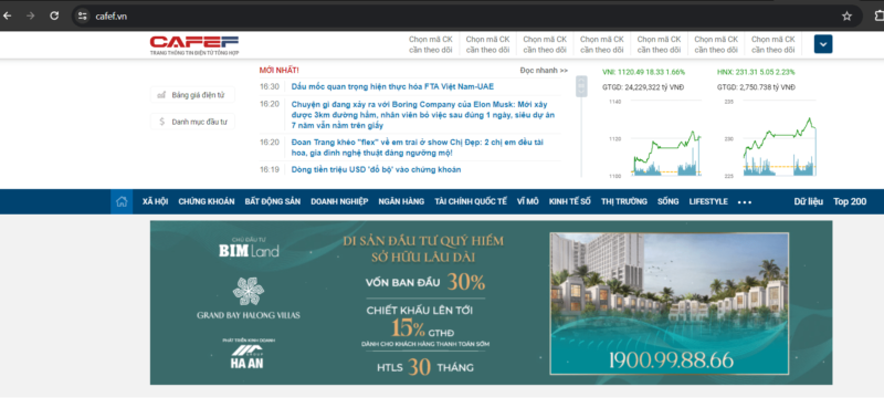 Website tìm số liệu thống kê: Cafef