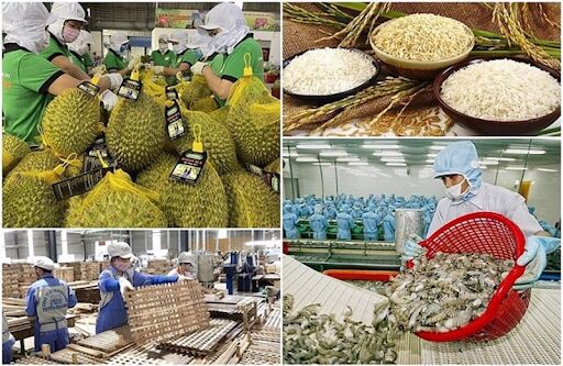 nganh-nong-lam-thuy-san-viet-nam-5-thang-dau-nam-2024-xuat-khau-vung-da-tang-truong-cao-ky-vong-dat-ky-luc