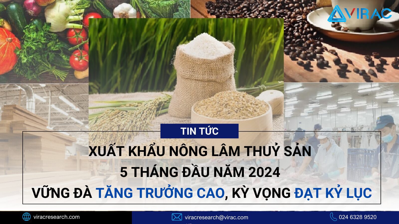 nganh-nong-lam-thuy-san-viet-nam-5-thang-dau-nam-2024-xuat-khau-vung-da-tang-truong-cao-ky-vong-dat-ky-luc