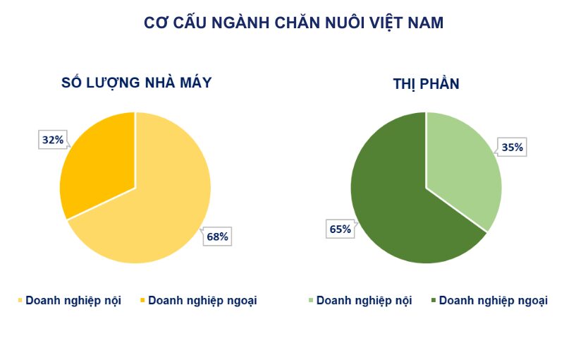 nganh-chan-nuoi-dan-lon-va-gia-cam-tang-truong-kha-dan-trau-bo-co-xu-huong-sut-giam-nam-2024-5