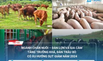 Chăn nuôi Việt Nam