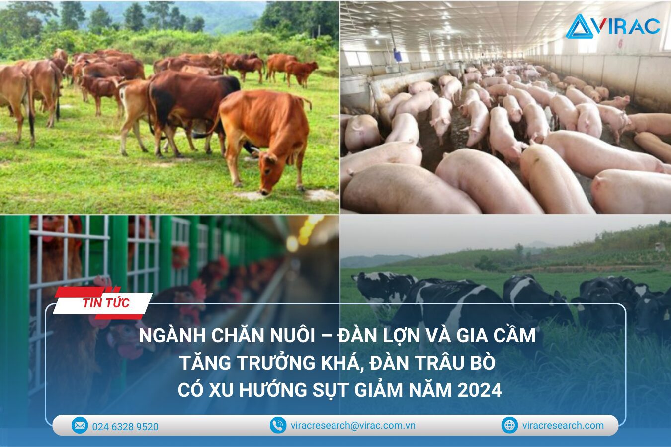 Chăn nuôi Việt Nam