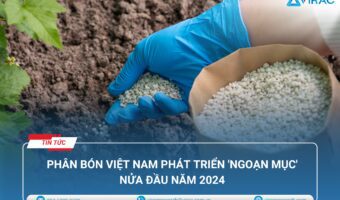 Ngành phân bón Việt Nam