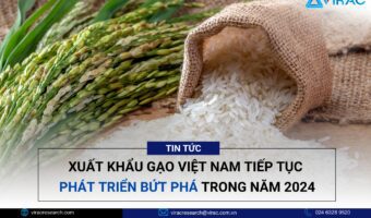 Xuất khẩu gạo Việt Nam