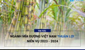 nganh-mia-duong-viet-nam-thuan-loi-nien-vu-2023-2024