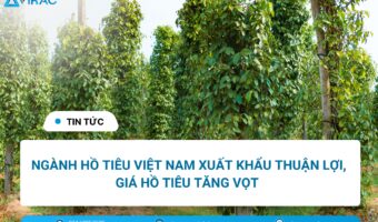 Ngành hồ tiêu Việt Nam