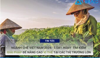 nganh-che-viet-nam-2024-loay-hoay-tim-kiem-giai-phap-de-nang-cao-vi-the-tai-cac-thi-truong-lon