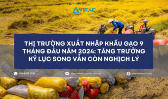 thi-truong-xuat-nhap-khau-gao-nam-2024-con-nghich-ly