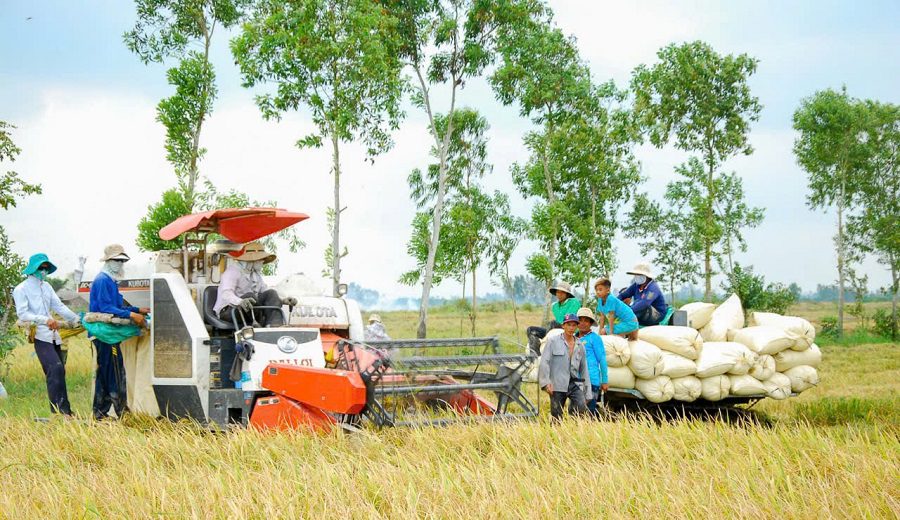 vietnam's-economy-overcomes-challenges-achieves-impressive-growth-in-q3-2024