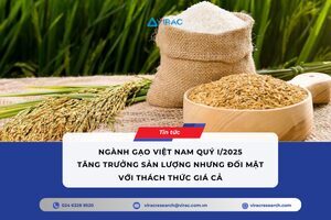 nganh-gao-viet-nam-quy-i-2025