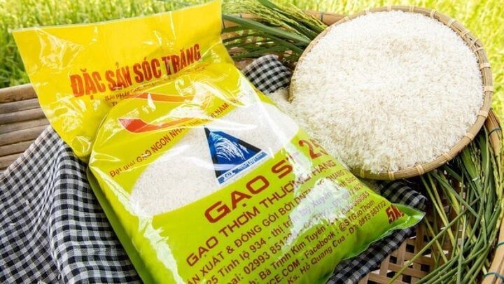 nganh-gao-viet-nam-quy-i-2025