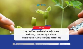 thi-truong-phan-bon-viet-nam-trong-quy-i-2025