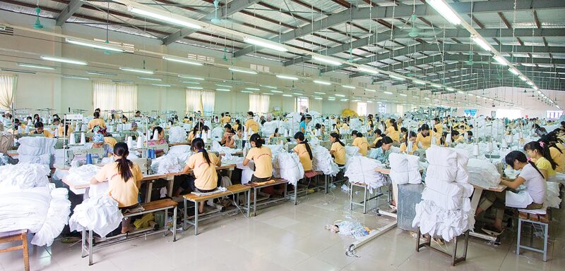 nganh-det-may-nam-2024-tang-truong-an-tuong