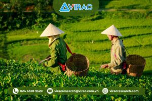 nganh-che-viet-2025-thach-thuc-va-gia-tri