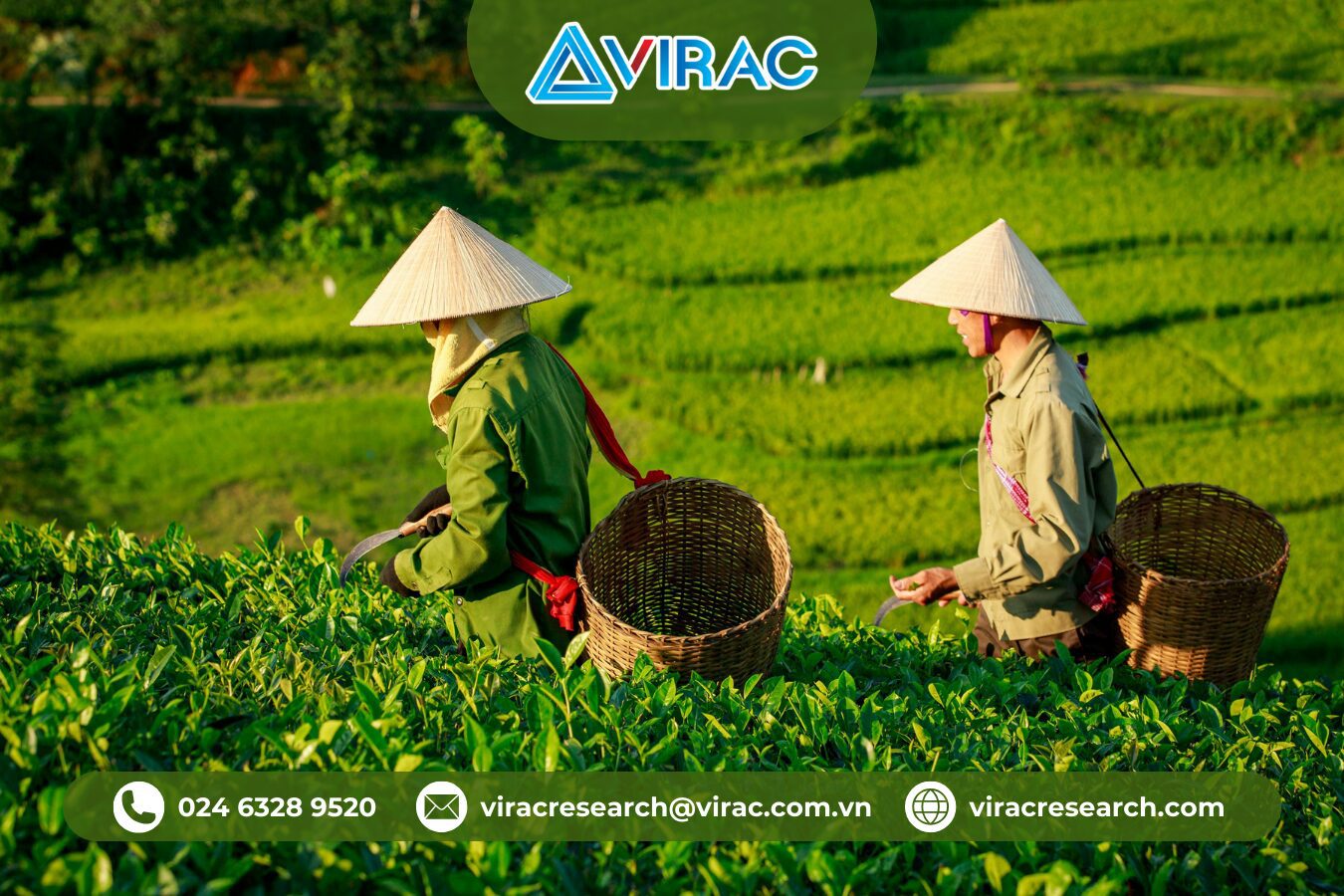 nganh-che-viet-2025-thach-thuc-va-gia-tri