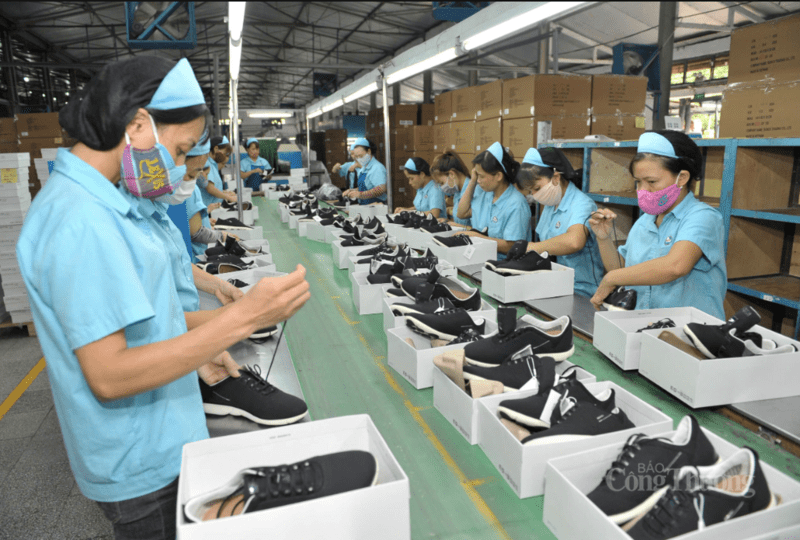 nganh-da-giay-2025-thach-thuc-thi-truong-noi-dia