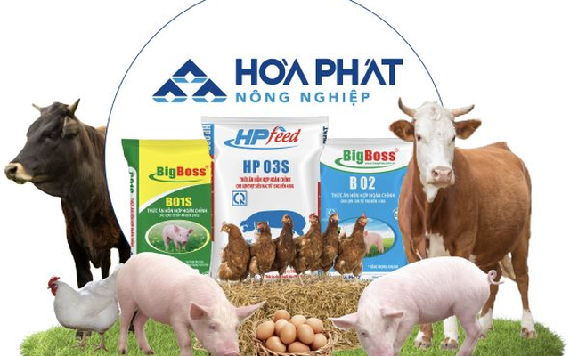 nganh-thuc-an-chan-nuoi-viet-nam-q1-2026