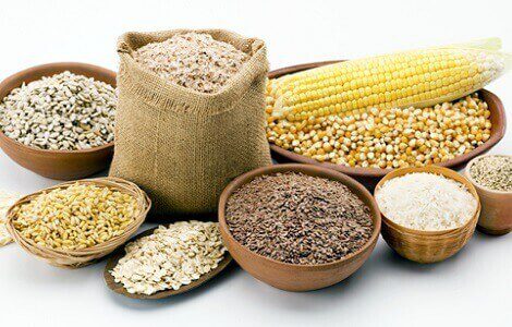 nganh-thuc-an-chan-nuoi-viet-nam-q1-2026
