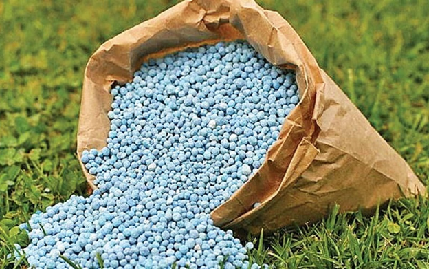 bao-cao-nganh-phan-bon-viet-nam-q2-2026
