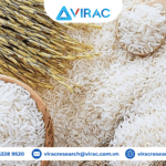 Báo cáo ngành gạo Việt Nam Q3/2026: Sản xuất ổn định, xuất khẩu chịu áp lực về giá